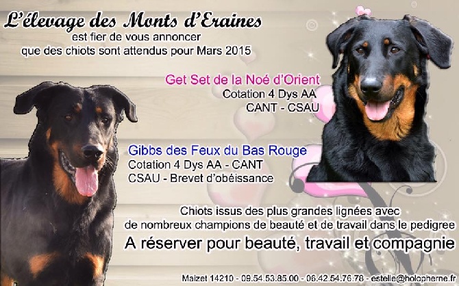 Des Monts D'eraines - Les futurs Get Setteurs vont arriver